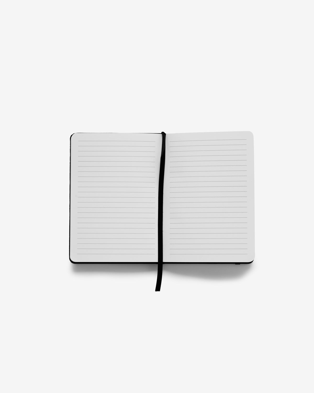 Twin Paranormal Investigation Journal