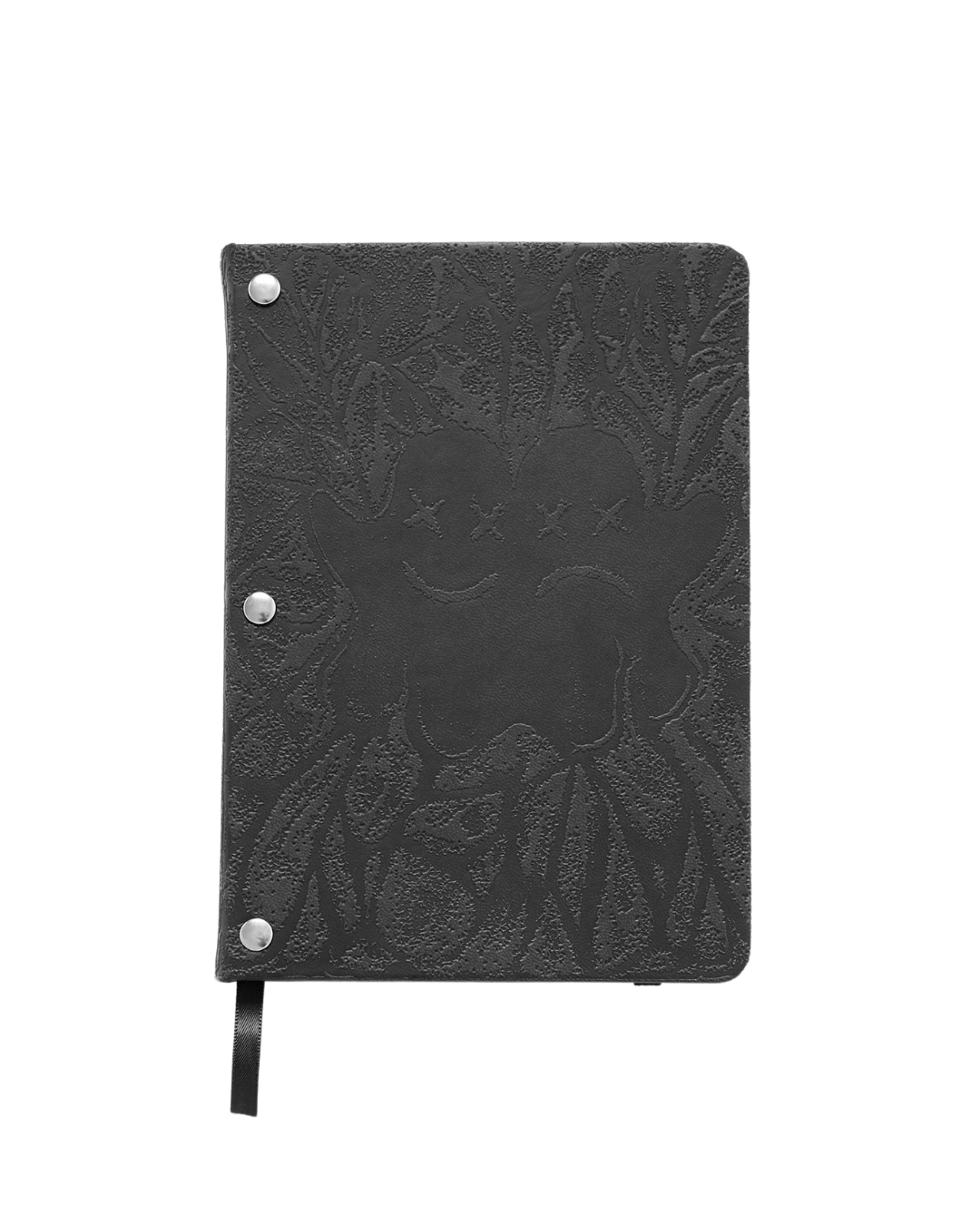 Twin Paranormal Investigation Journal