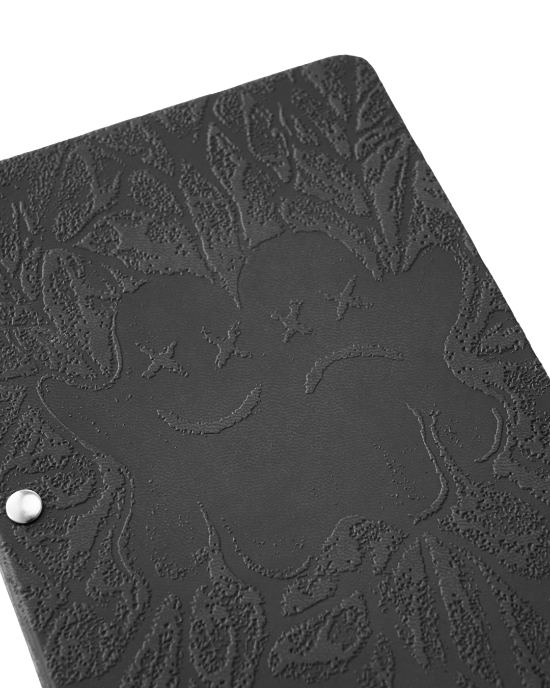 Twin Paranormal Investigation Journal